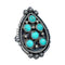 Sterling Silver Turquoise Ring Size 7-1/2 NN20778