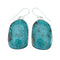 Navajo Turquoise Sterling Silver Hook Dangle Earrings Native American NX12120