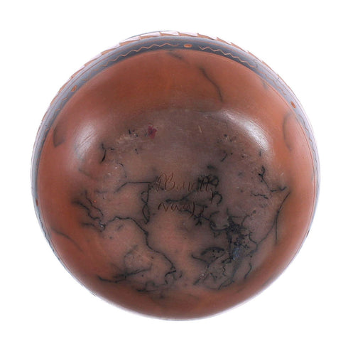 Native American Navajo Horse Hair Vase JX123561